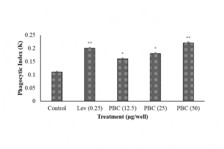 Phagocytic index was calculated in murine macrophage induced by different concentration of PBC PBC (12.5, 25 and 50 μg/well)