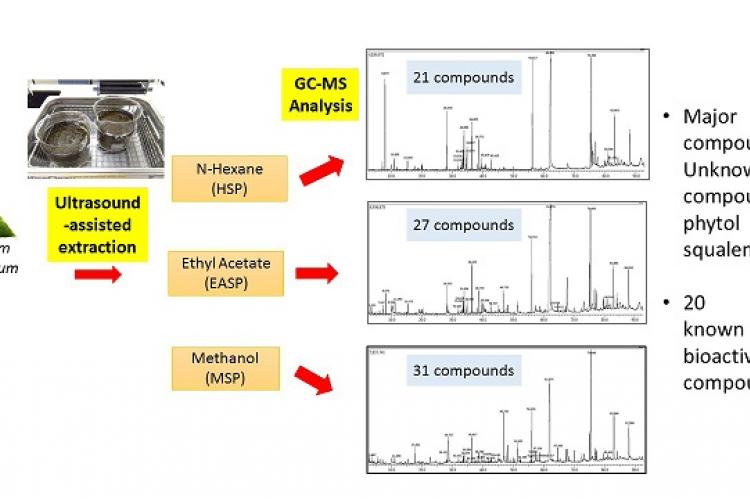 GC MS Analysis Of Phytochemical Compounds In Syzygium Polyanthum Leaves gc-ms-analysis-of-phytochemical-compounds-in-syzygium-polyanthum-leaves