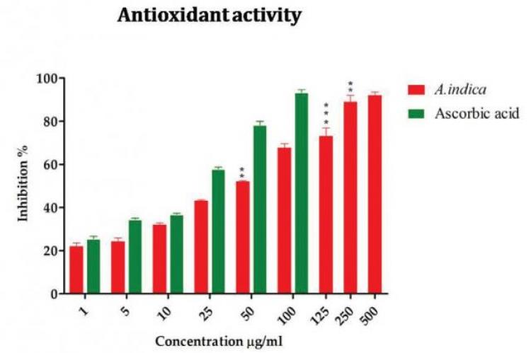 Antioxidant potential of A. bracteolata