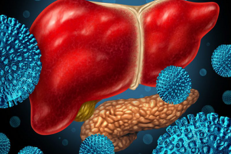 Causes, Symptoms And Treatments Common Hepatitis B Today ...