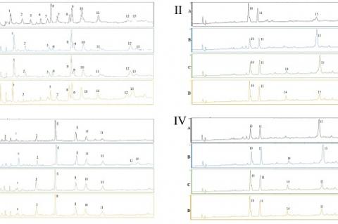 HPLC-UV chromatograms of phenolic compounds from ethyl acetate extracts of leaves and fruits of Anadenanthera colubrina