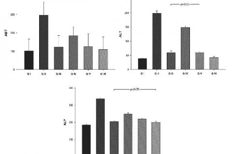Effect of the ethanol extract of A. cherimola on biochemical parameters in hepatic damage induced by paracetamol in rats