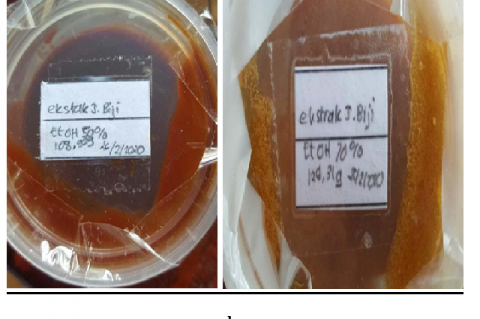 Psidium guajava L. extract (a) 50% and (b) 70%