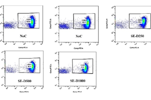 A representative depiction of (A) CD4+ and (B) CD8+ proportions using flow cytometry