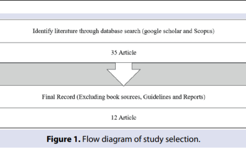 Flow diagram of study selection.