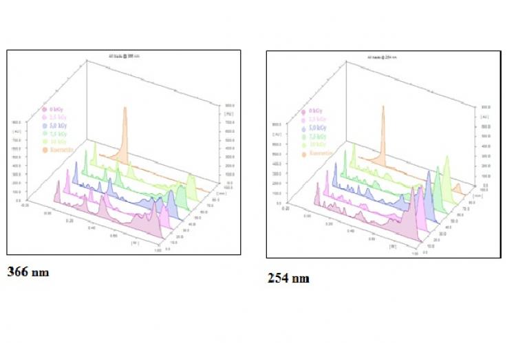 TLC dencytogram of the samples under 366 dan 254 nm.