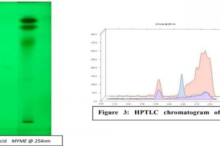HPTLC Chromatogram of Plant Extracts showing different bands