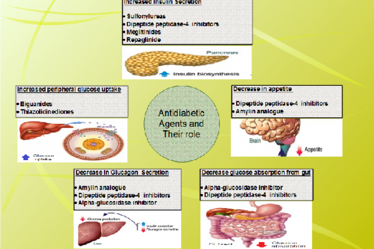 Oral antidiabetic agents and their role in treating diabetes mellitus
