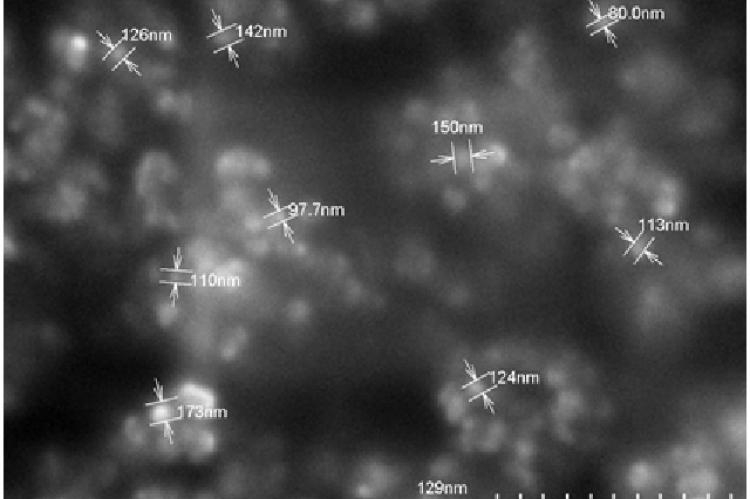 SEM image of Nigella sativa- ethanol silver nanoparticles