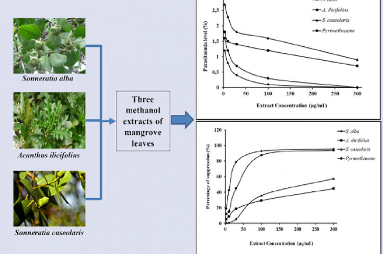 Antiplasmodial Activity of Methanolic Leaf Extract of Mangrove Plants against Plasmodium berghei