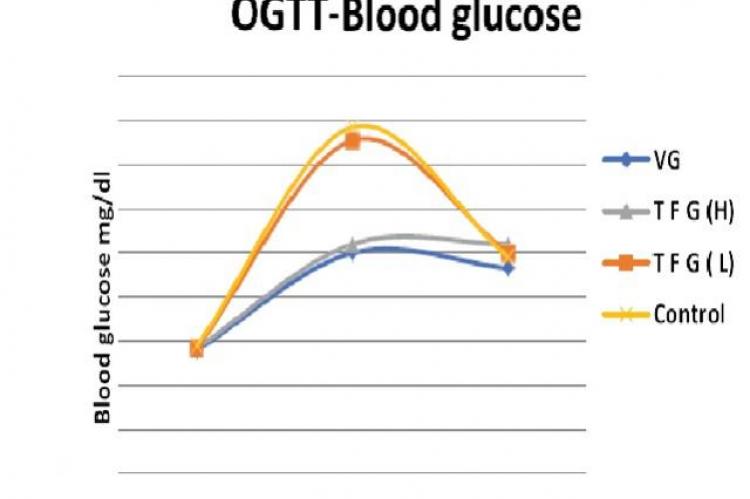 Shows effect of Vildagliptin (VG) and Trigonella foenum graecum (T F G-L) 1g/kg, (TFG-H) 2gm/kg on blood glucose levels during OGTT in albino rats