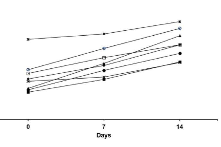 Body weights measurements in mice administered Sampilnorov wurile.
