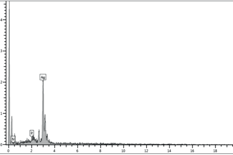 EDX spectra and elemental profile of biosynthesized nanoparticles