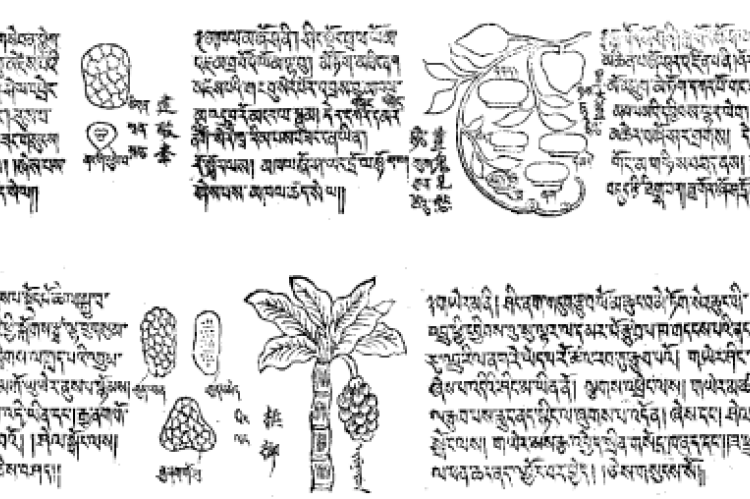 Two pages from the book 