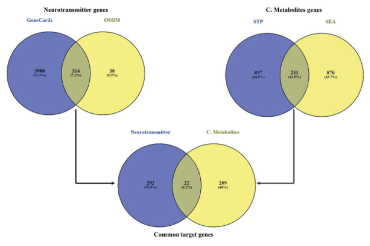 Common genes found between GeneCards and OMIM, SEA and STP as well as overlapping genes of C. sativa metabolites and neurotransmitters of the CNS.