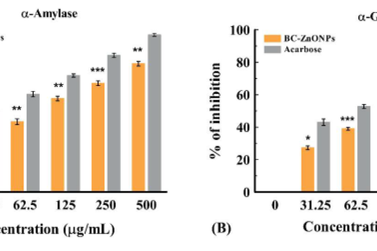 α-Amylase and α-Glucosidase mean percentage inhibition by BC-ZnONPs. [Data expressed as mean ± S.D. *p<0.05; **p<0.01; ***p<0.001; ns=non-significant when compared with standard].