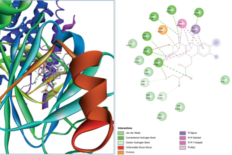 Docking interactions of riboflavin ligand in the active site of FTO protein (3LFM), A) 3D structure, B) 2D Structure