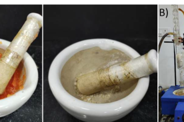 A) Moringa oleifera seed and Carica papaya fruit sample finely ground using mortar and pestle for nanoparticle synthesis. B) Soxhlet extraction of plant materials