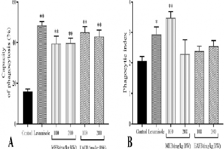 Effect of a methanolic extract (MEB) and the ethyl acetate fraction of bengkoang (EAFB) on the capacity for phagocytosis (A) and the phagocytic index (B) of peritoneal macrophages (mean ± SEM, n = 5). *P < 0.05, **P < 0.01 was significantly different compared with the control