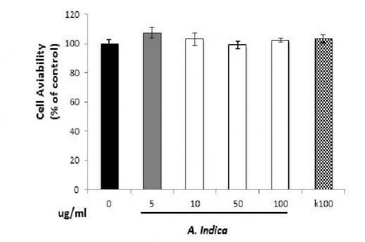Effect of A.indica leaf extract and kojic acid on cell viability in B16F10 melanoma cells