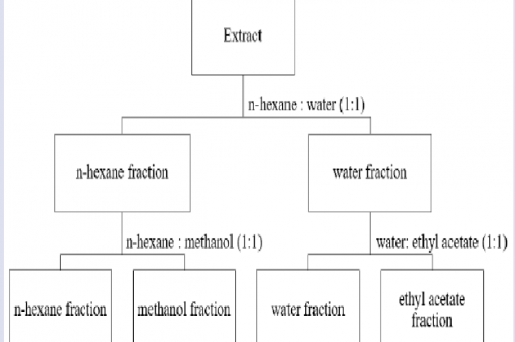 Fractionation flow using partition method14.
