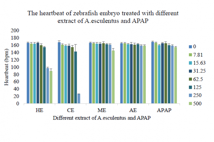 The heartbeat (in beats per minute, bpm) of a zebrafish embryo treated with different extracts of A.esculentus and APAP at 72 hpf. * is p<0.05 as compared to APAP.