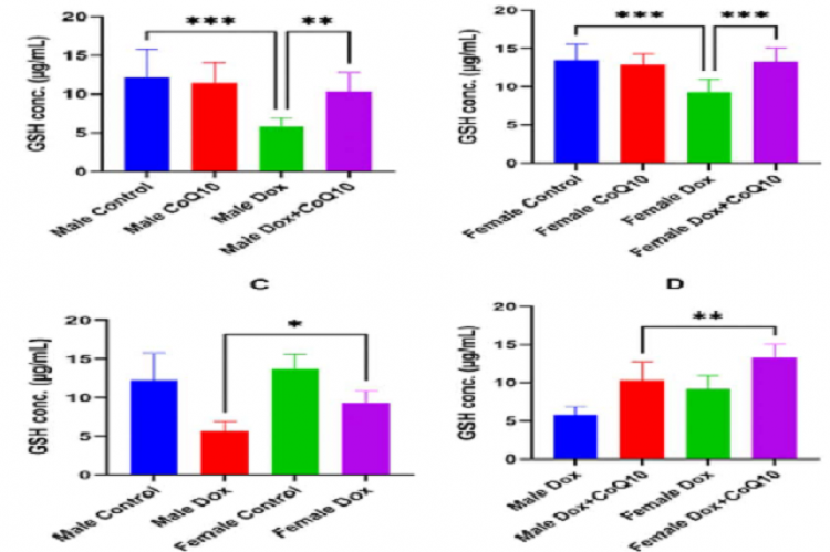 Gender difference in the protective effect of CoQ10 against Dox effects on serum GSH levels