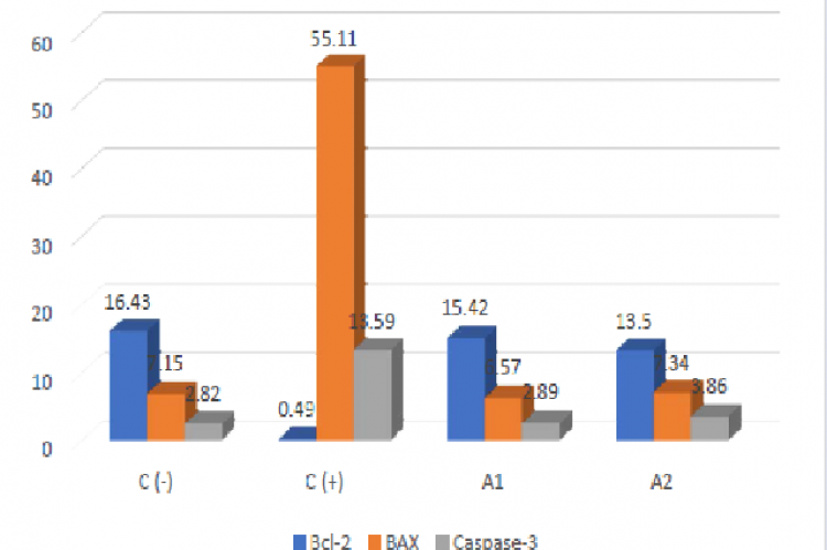 Comparison between the results of Bcl-2, BAX, and Caspase-3 in the four groups.
