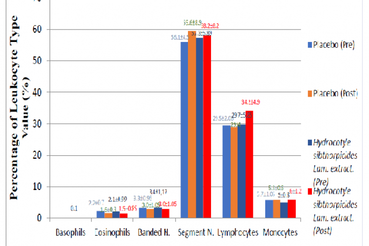 Graphic average percentage of leukocyte type values in the placebo capsule containing group Saccharum lactis (SL) and the capsule group of Hydrocotyle sibthorpioides Lam. Extract.