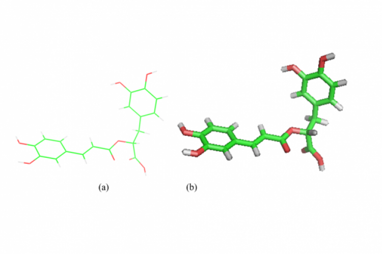 Hepatitis E Inhibited by Rosmarinic Acid Extract from Clove Plant (Syzygium Aromaricum) through Computational Analysis