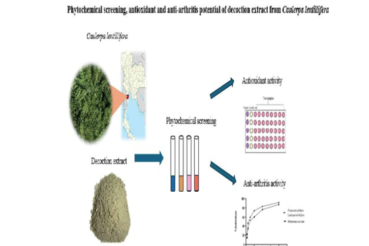 Graphical Abstract