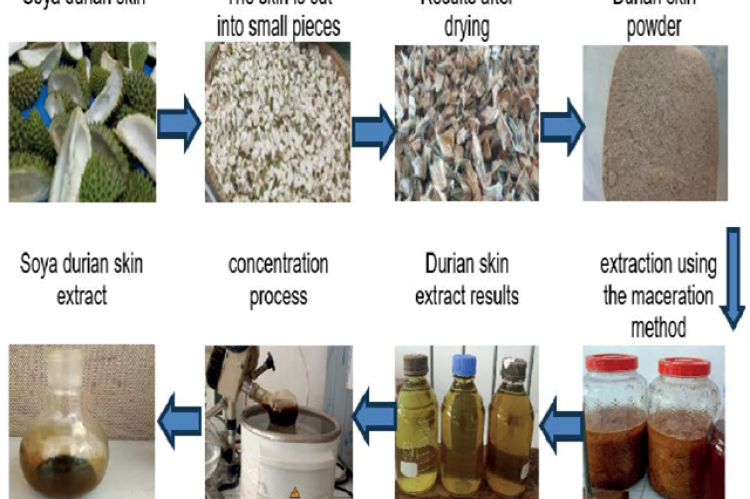 Process of collecting, processing and extracting Soya durian skin using 96% ethanol