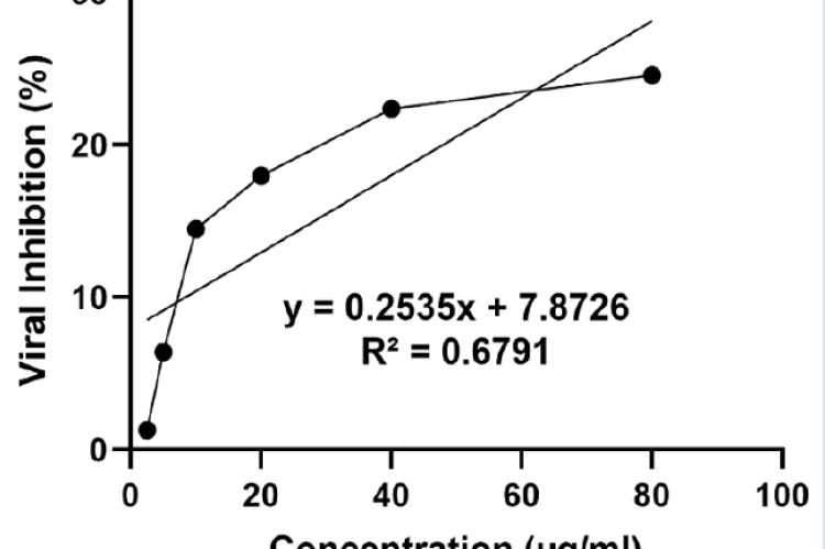 Percentage of DENV-2 inhibition by various concentrations of dried red jujube fruit ethanol extract.