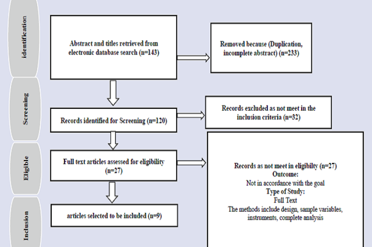 PRISMA Research Flow Chart