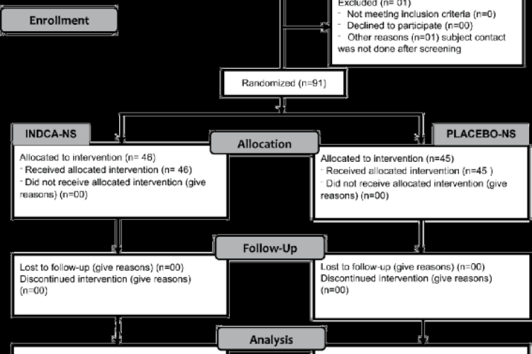 CONSORT flowchart