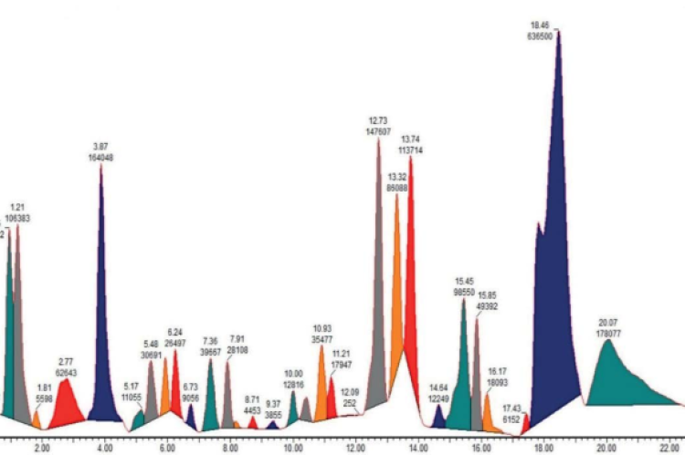 Metabolite profiling of the Ethanolic Extract from the bark of Syzygium cumini var. album using the UPLC-QToF-MS/MS.