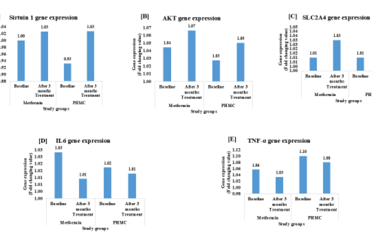 Comparison of gene expression in the study groups (a) Sirtuin 1; (b) AKT; (c) SLC2A4; (d) TNF-α and (e) IL-6.