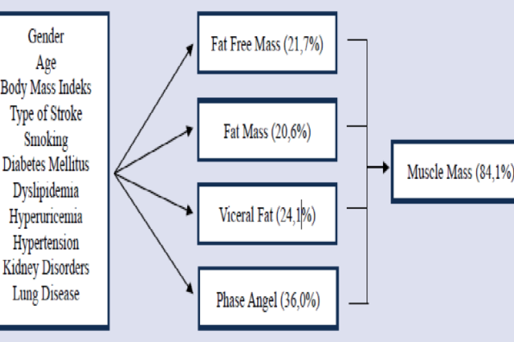 Structural Equation Model Analysis Results