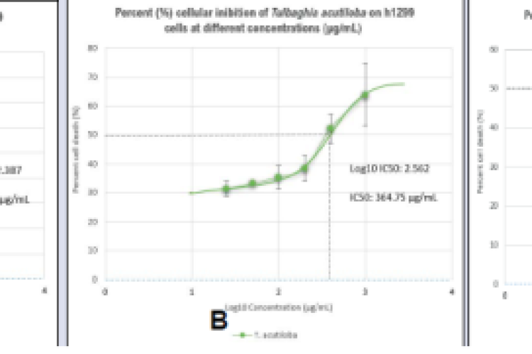 Dose-response curves of T. riparia, T. acutiloba, and C. edulis extracts on H1299-hACE2-E3 cells. Data are presented as the mean of the triplicate values and the ± standard deviation is represented by the error bars.