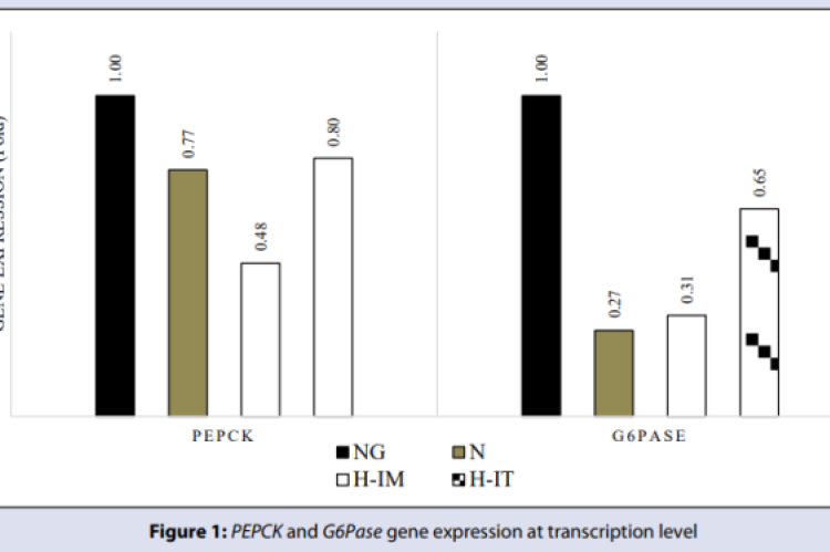 PEPCK and G6Pase gene expression at transcription level