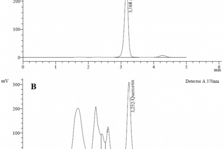 Chromatogram of quercetin standard (A) and M. malabathricum leave extract (B).