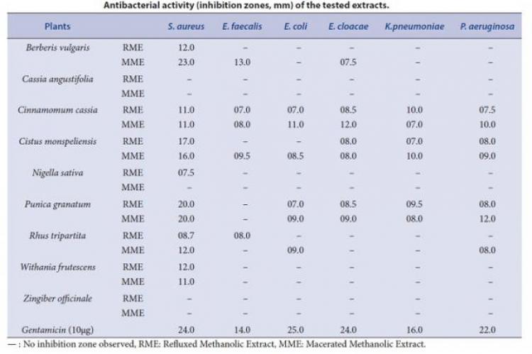 Evaluation Of Antibacterial Activity Of Some Medicinal Plants Extracts ...