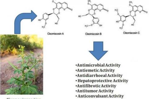 pharmacogn j