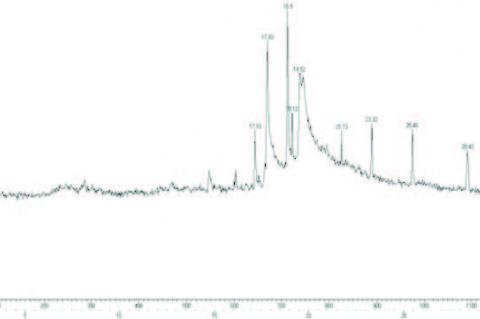 GC-MS chromatogram of ethanolic stem extract of C. anisata