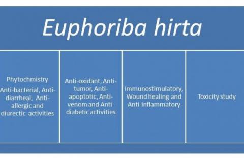 pharmacogn j