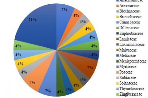 Percentage distribution in families for medicinal plants used treat different health problems