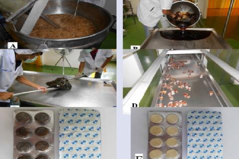 Production process of dissolving ingredients (spray-dried extract