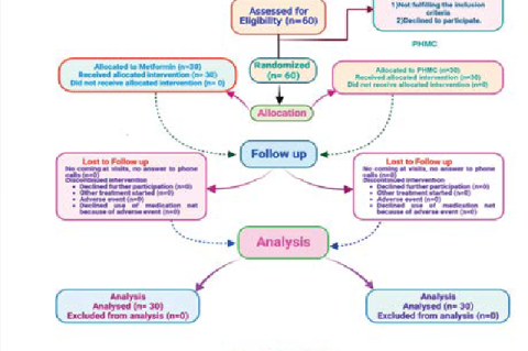 Consort flow chart.