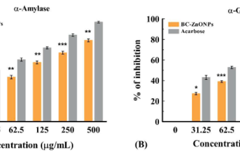 α-Amylase and α-Glucosidase mean percentage inhibition by BC-ZnONPs. [Data expressed as mean ± S.D. *p<0.05; **p<0.01; ***p<0.001; ns=non-significant when compared with standard].