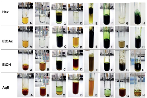 Phytochemical tests of C. hastata leaf extracts using different solvent extractions. (A) Alkaloids were detected in the EtOH and AqE extracts, as evidenced by the formation of a reddish-brown precipitate. (B) Anthraquinones were absent in all extracts, indicated by the lack of any visible color change. (C) Cardiac glycosides were present in the Hex, EtOH, and AqE extracts, as shown by a characteristic brownish ring between the layers. (D) Coumarins were detected in the EtOAc, EtOH, and AqE extracts, as indi